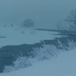 『風の盆恋歌』のあらすじと結末を解説 – 高橋治が描いた大人の悲恋物語のワンシーン