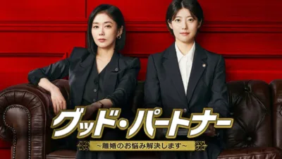 【韓国ドラマ】『グッドパートナー』キャストとあらすじを解説