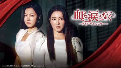 【韓国ドラマ】『血も涙もなく』ネタバレとあらすじ解説