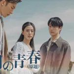 【韓国ドラマ】『LTNS～不倫探偵夫婦物語～』のあらすじを簡単に解説のワンシーン