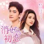 【中国ドラマ】『宮廷恋仕官』キャスト・相関図・あらすじを解説のワンシーン