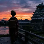 【大河ドラマ】『太平記』キャスト・相関図とあらすじを解説のワンシーン